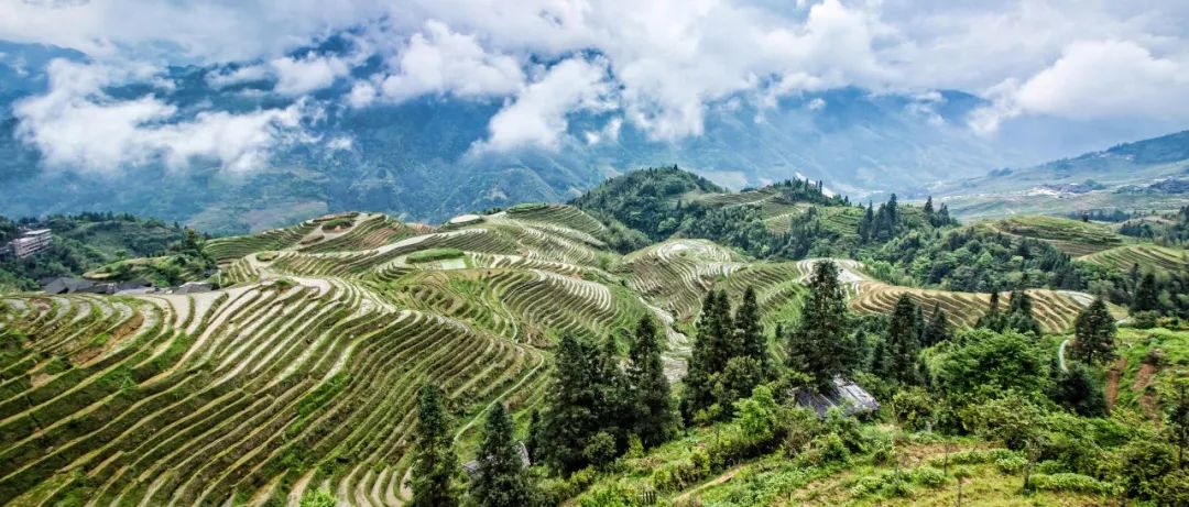 成都到陽朔自駕_成都陽朔旅游攻略必去景點_成都陽朔游必去景點旅游攻略