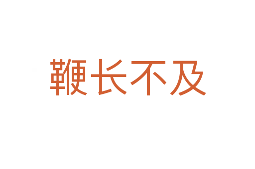 鞭長(zhǎng)不及