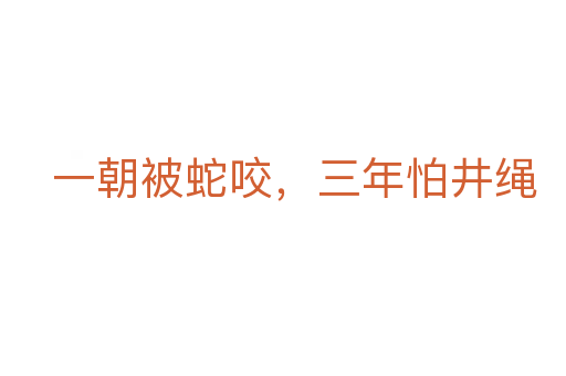 一朝被蛇咬,三年怕井繩