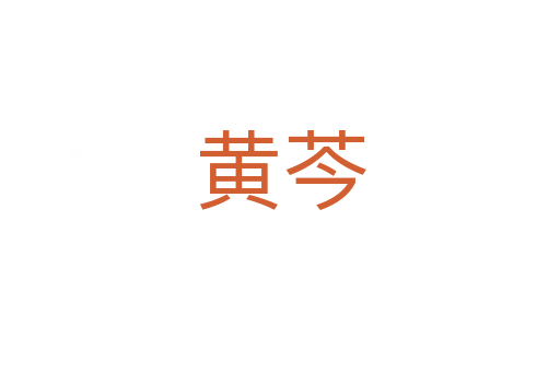 黃芩