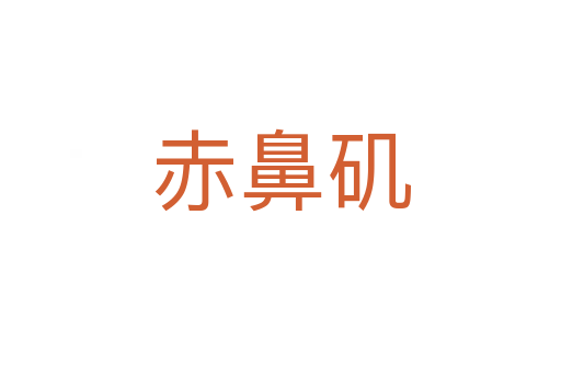 赤鼻磯