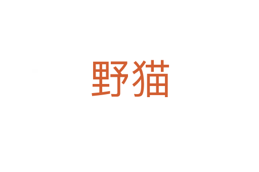 野貓
