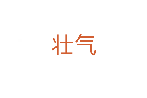 壯氣