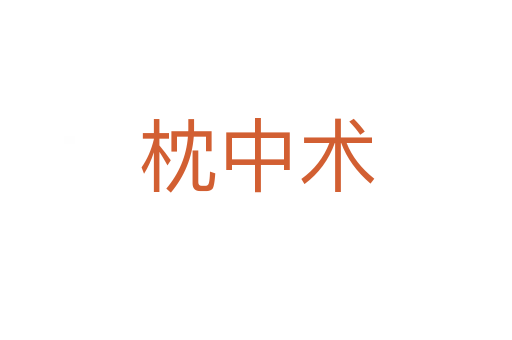 枕中術(shù)