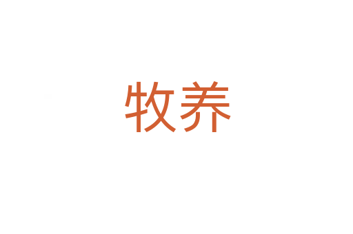 牧養(yǎng)