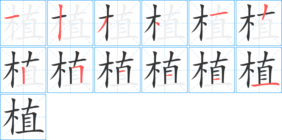 植的筆順分步演示