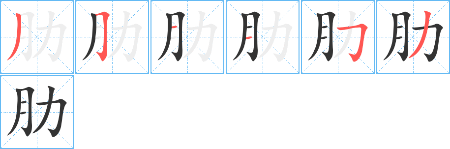 肋的筆順分步演示