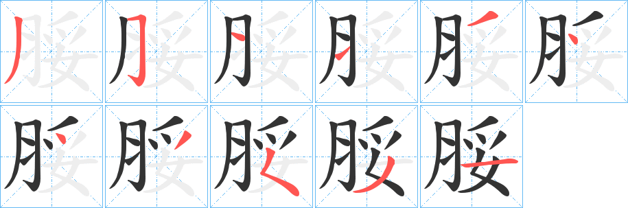 脮的筆順?lè)植窖菔?>
					
                    <hr />
                    <h2>脮的基本信息</h2>
                    <div   id=