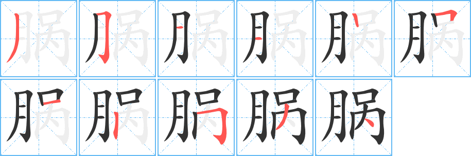 腡的筆順?lè)植窖菔?>
					
                    <hr />
                    <h2>腡的基本信息</h2>
                    <div   id=