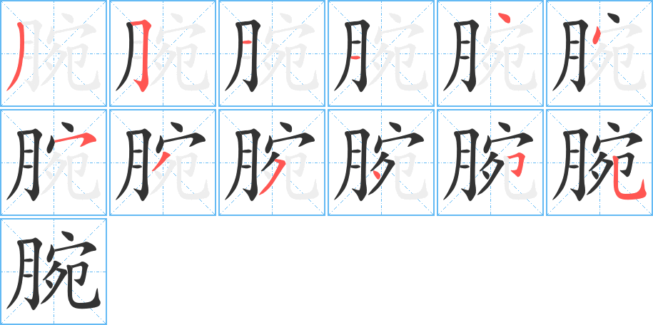 腕的筆順分步演示