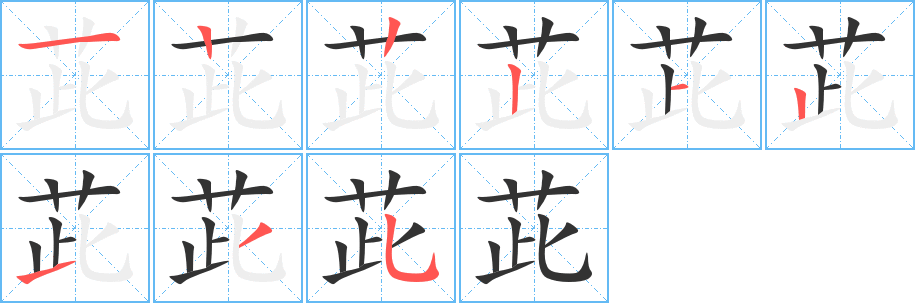 茈的筆順分步演示