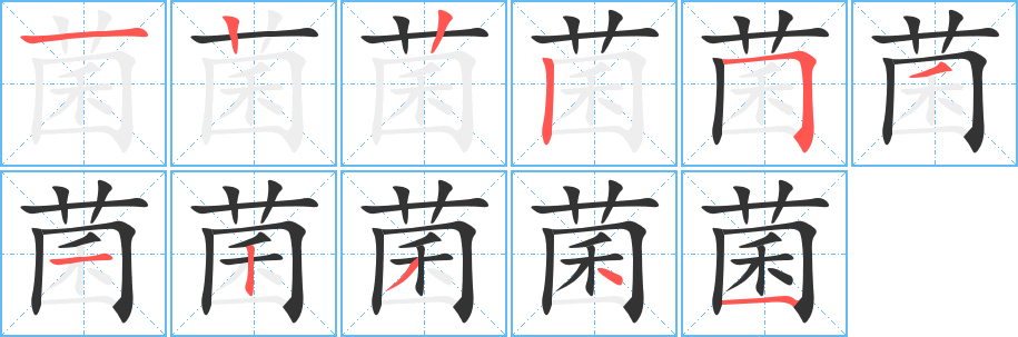 菌的筆順分步演示