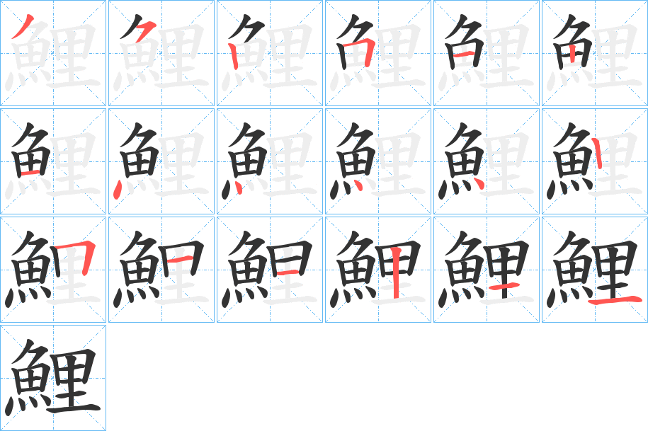 鯉的筆順分步演示