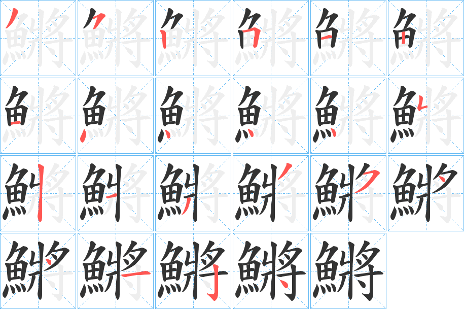 鱂的筆順分步演示