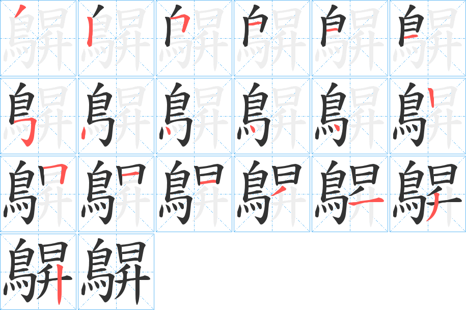 鵿的筆順分步演示